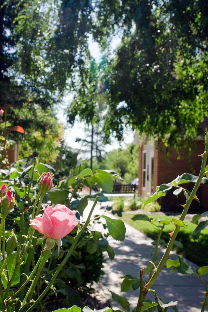 Sonesta Es Suites Fresno Udogodnienia zdjęcie